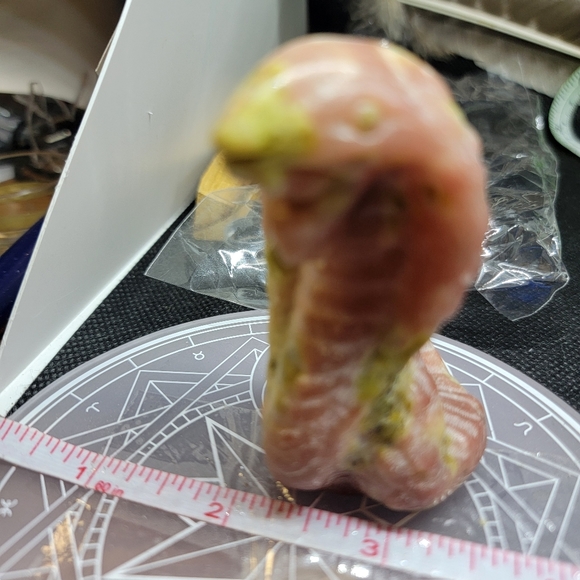 Tourmaline king cobra - Picture 2 of 5